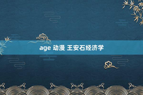 age 动漫 王安石经济学